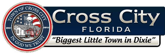 Town of Cross City Logo